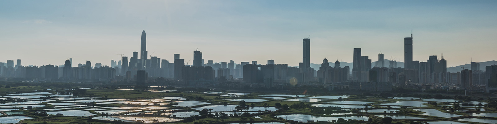 View of the Shenzhen skyline